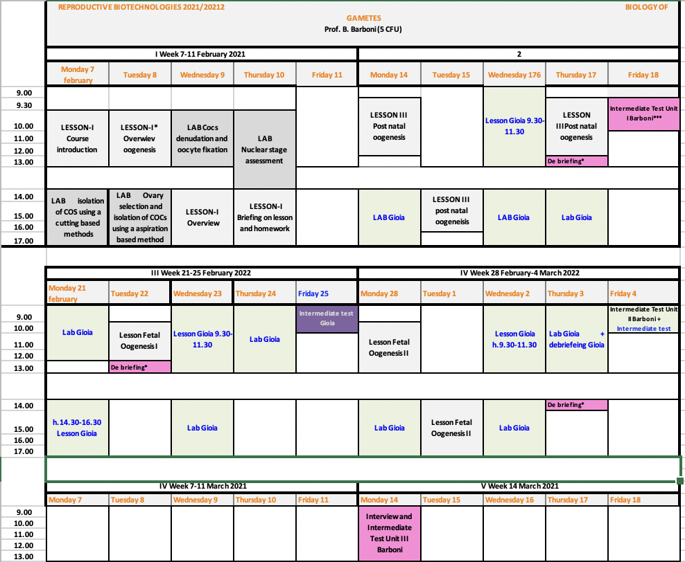 Allegato Schermata 2022-02-22 alle 21.34.24.png