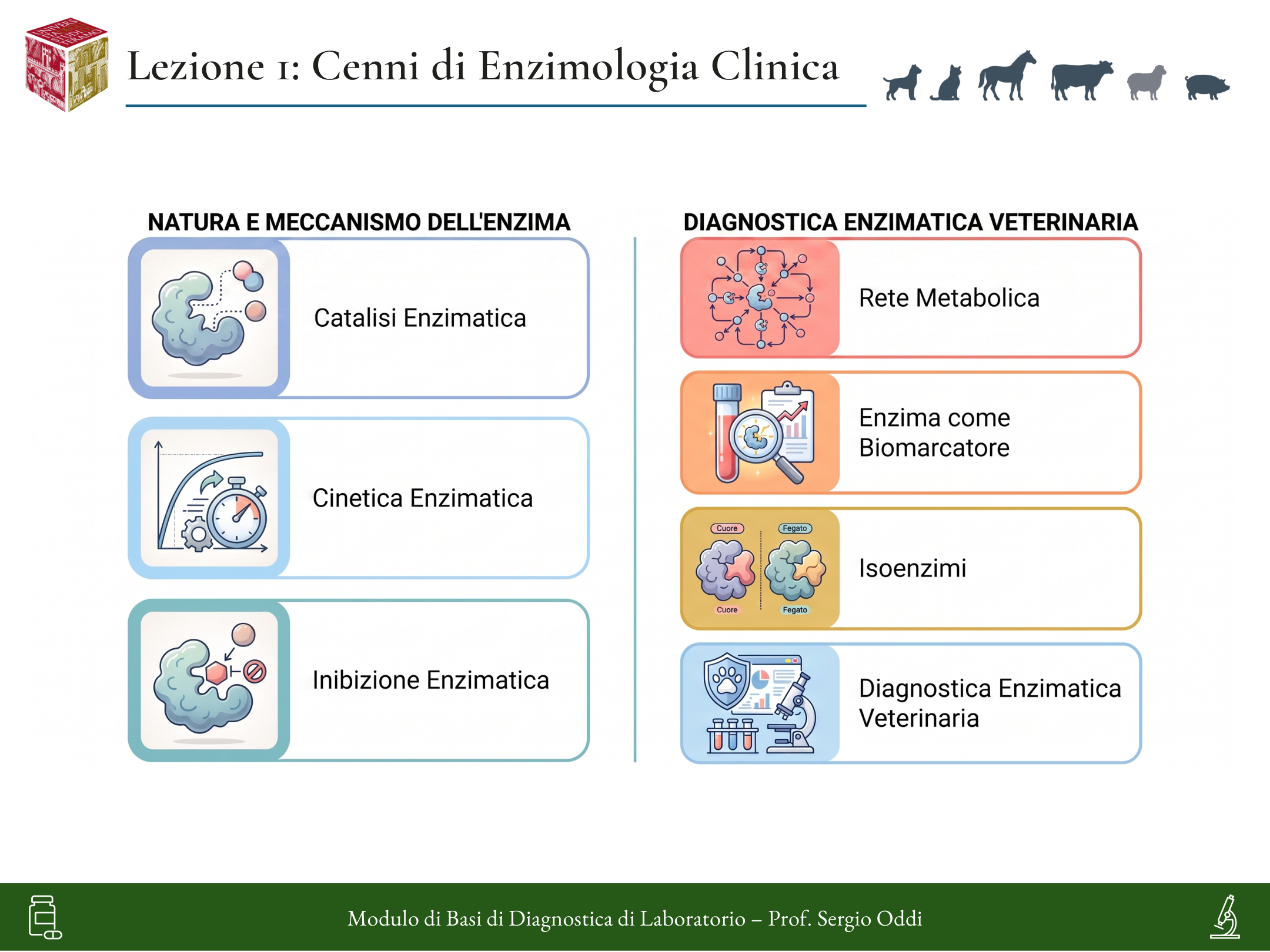 Infografica della Lezione 01