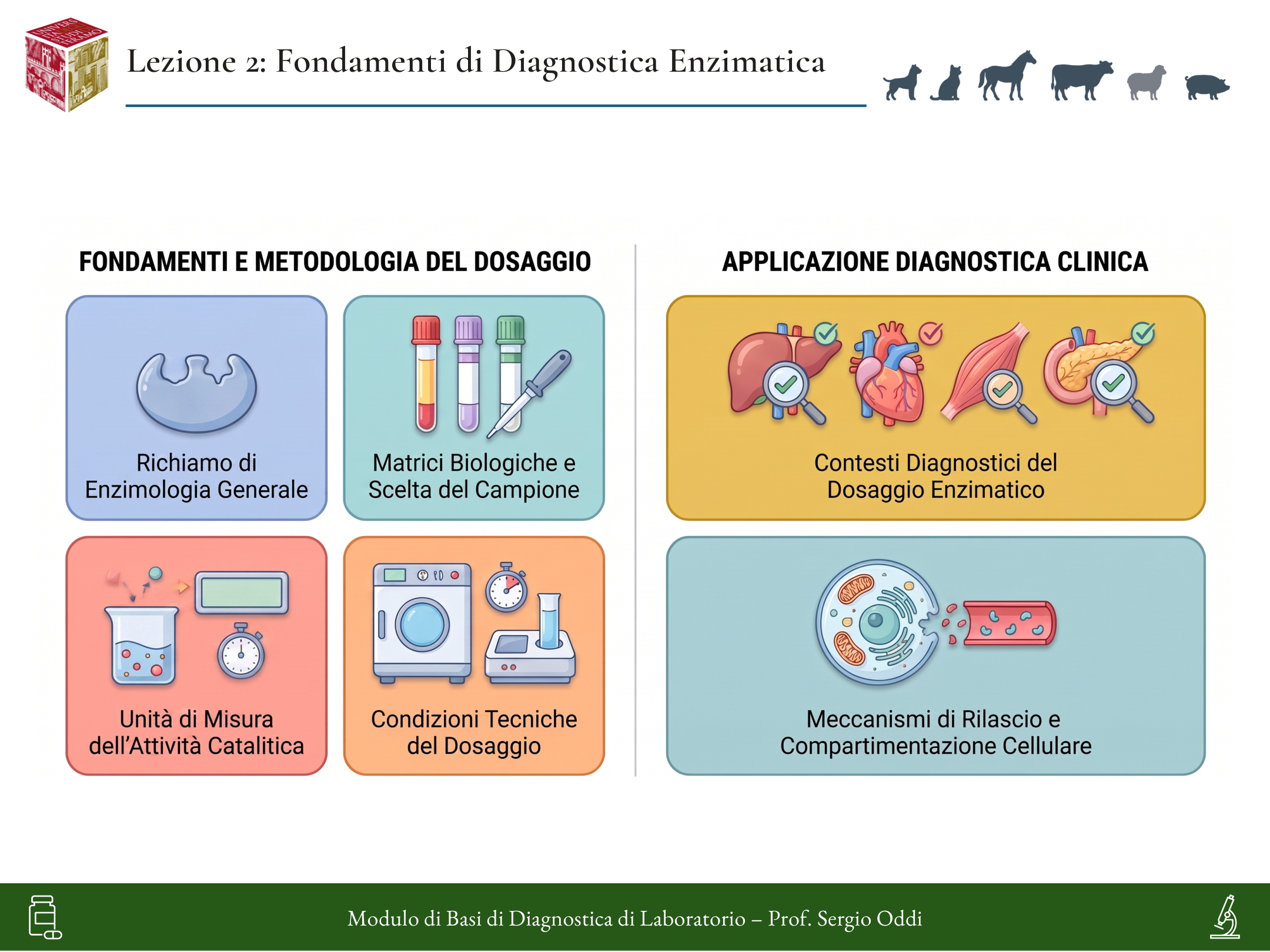 Infografica della Lezione 02