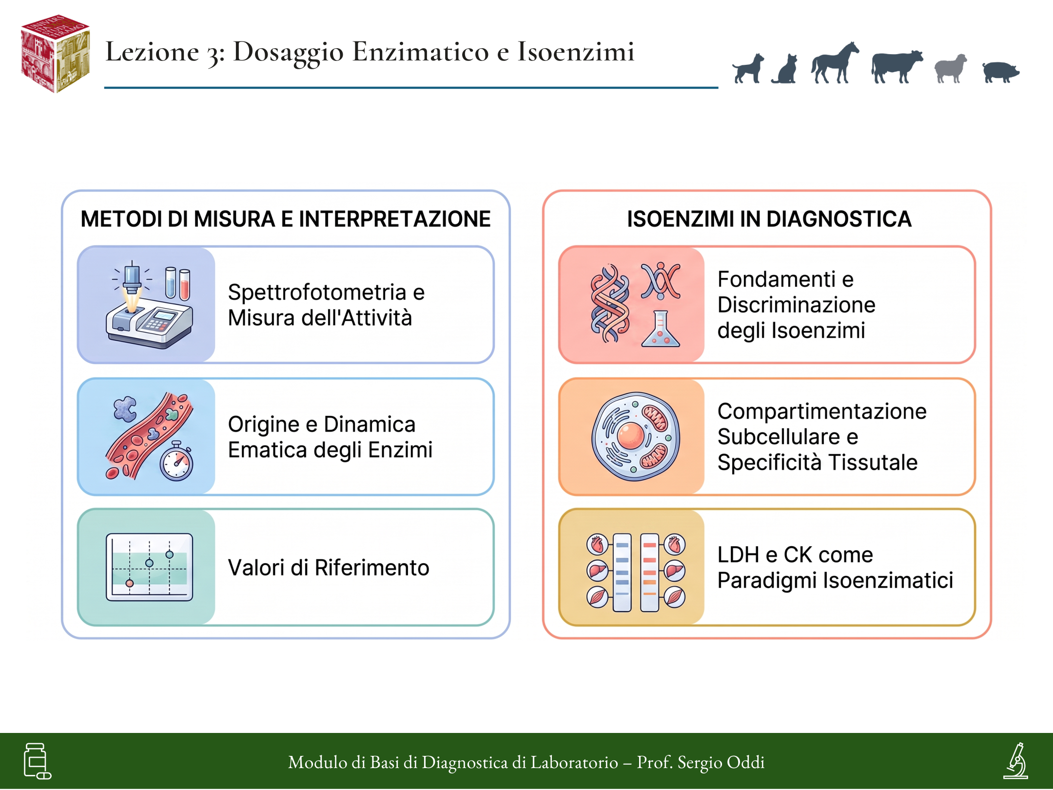 Infografica della Lezione 03