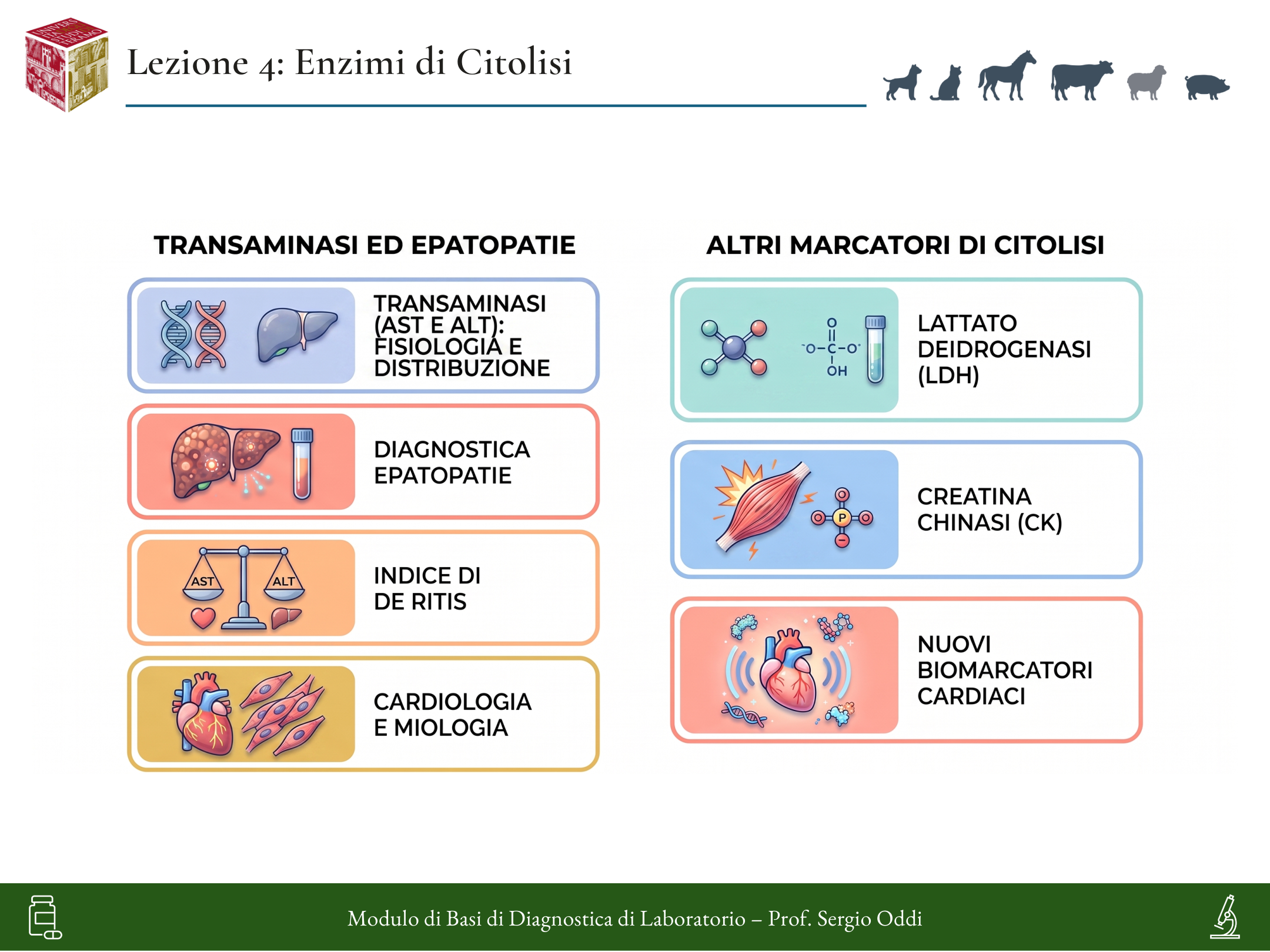 Infografica della Lezione 04