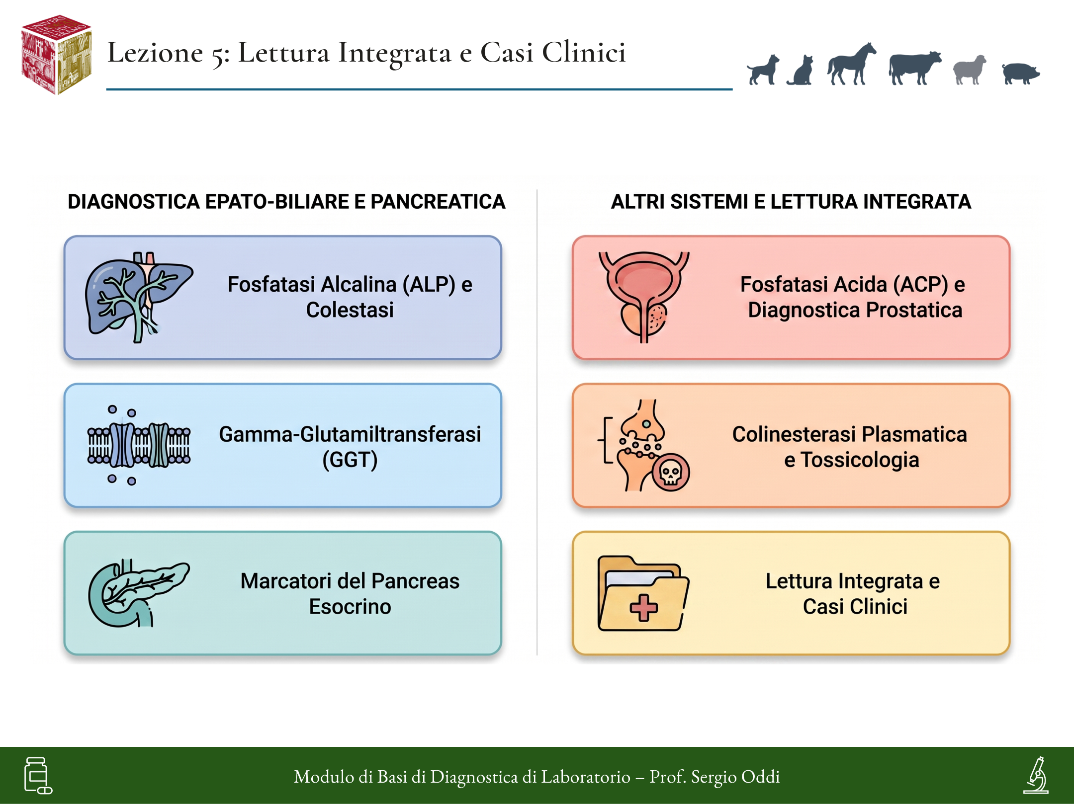 Infografica della Lezione 05
